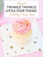 Twinkle Twinkle Little Star Theme Birthday Party Ideas Pin