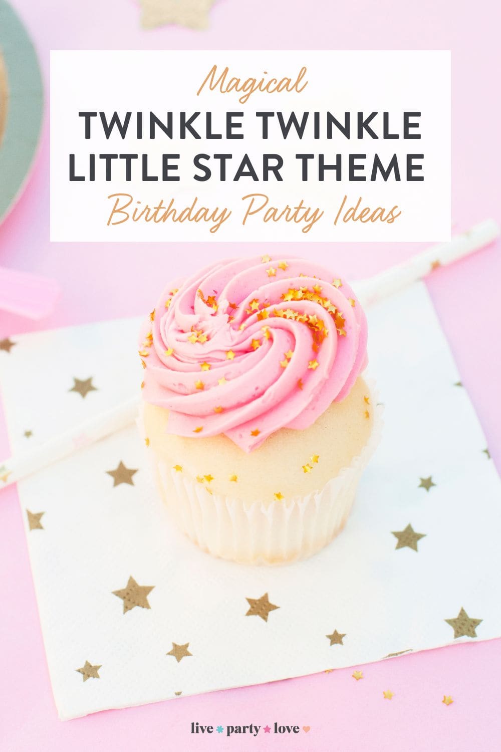 Twinkle Twinkle Little Star Theme Birthday Party Ideas Pin